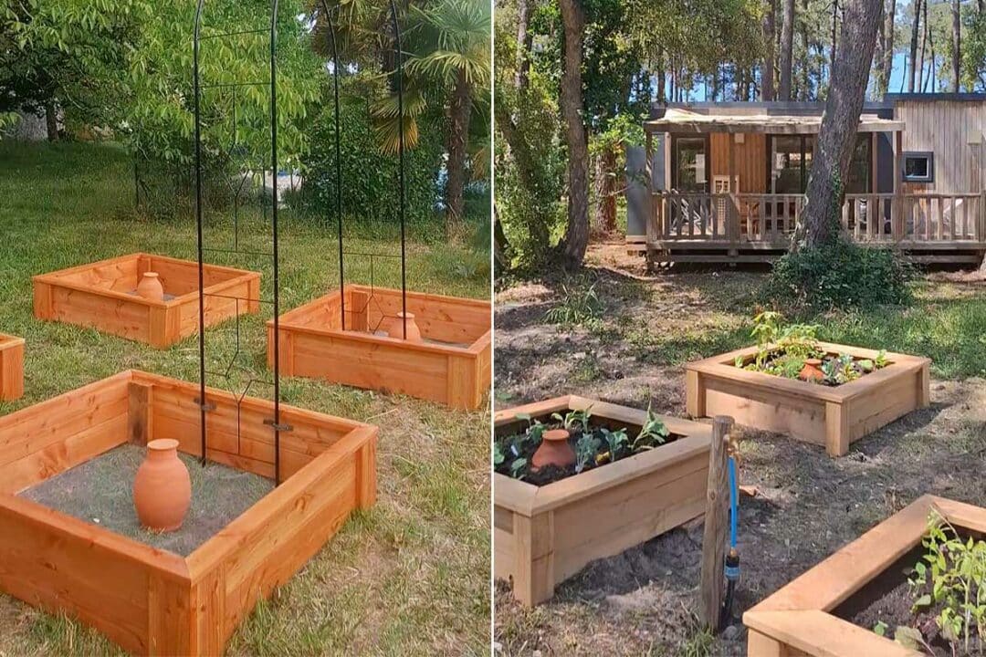 Des carrés potagers irrigués avec des oyas.