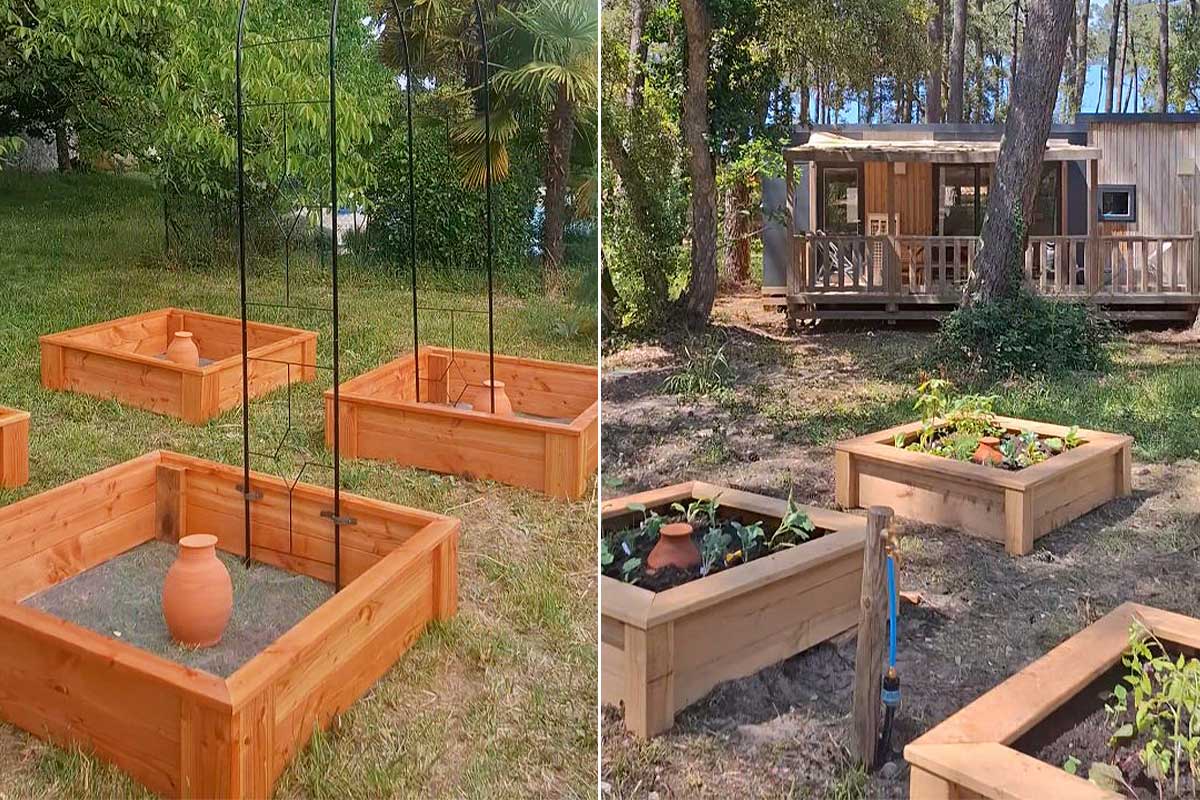 Des carrés potagers irrigués avec des oyas.