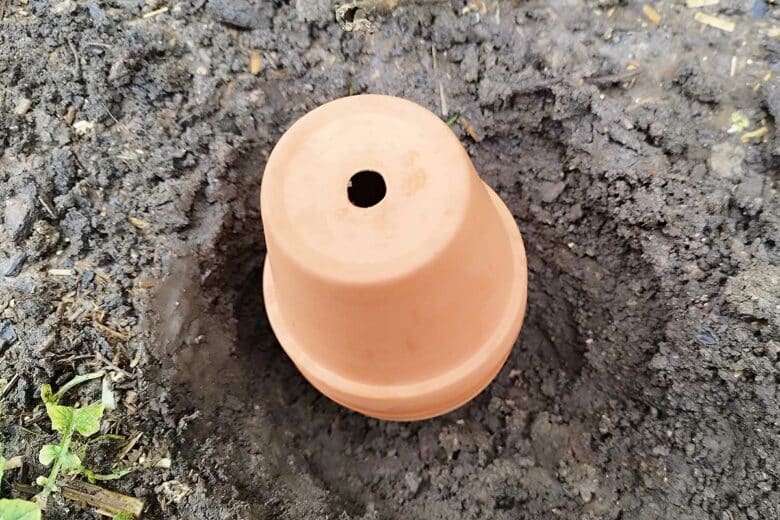 Un oya installé dans la terre pour irriguer le jardin par capillarité.