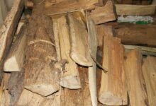 Du bois de chauffage stocké au sec.