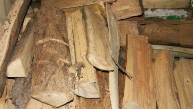 Du bois de chauffage stocké au sec.