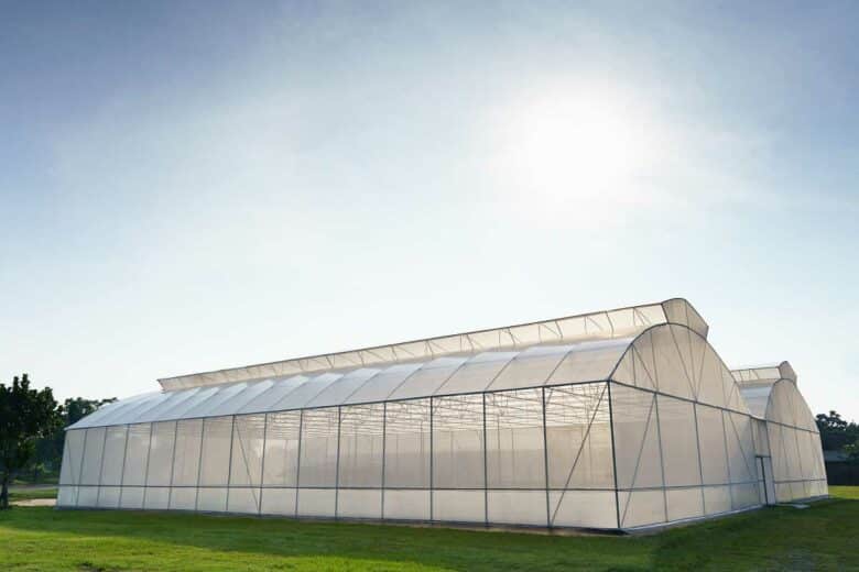 Une serre agricole vue de l'extérieur.