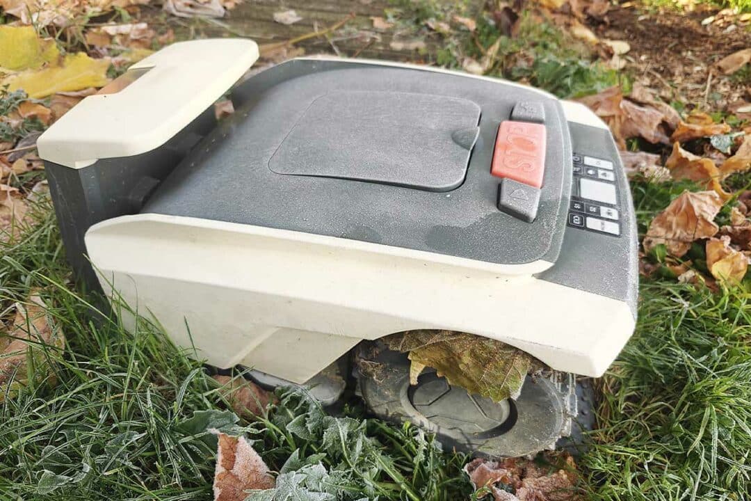 Un robot tondeuse avec les premières gelées matinales.