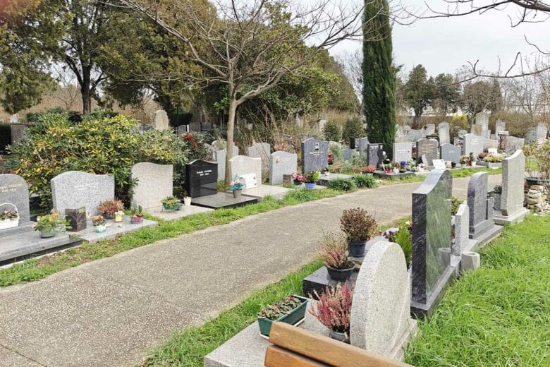 Lorsque toutes ces plantes seront jetées dans les bacs à ordures, il sera possible d'en récupérer.