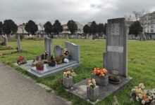 Lorsque les fleurs des cimetières se retrouvent dans les bacs de déchets, certaines communes autorisent la récupération.