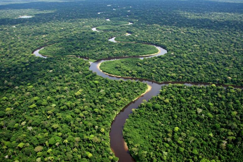 Un fleuve traverse la forêt amazonienne.