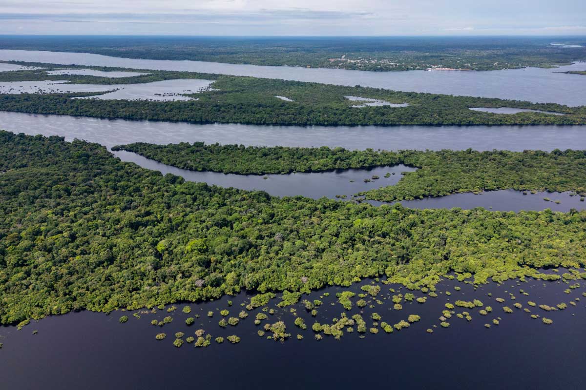 Une étendue de forêt amazonienne.