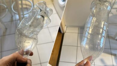 Une bouteille plastique et sa version compactée.