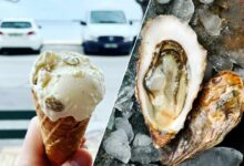 Une glace et une huitre.