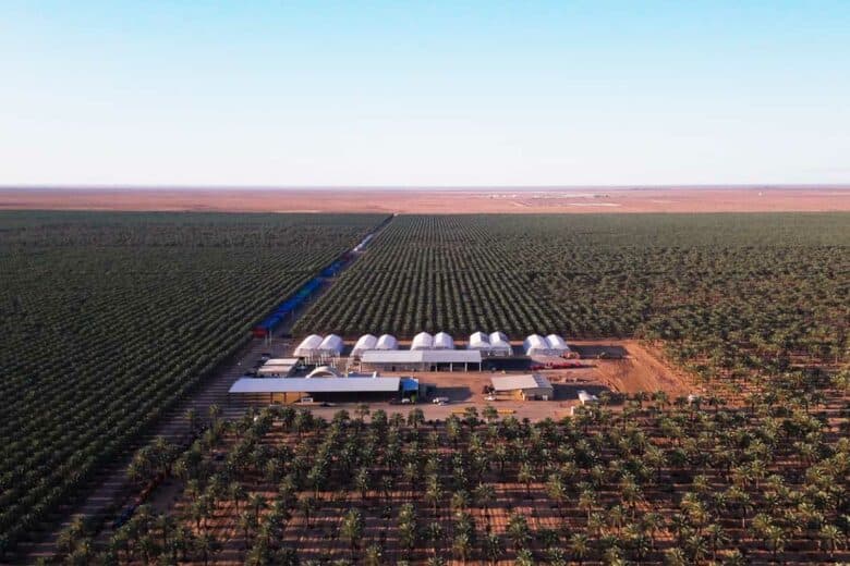 Une palmeraie en Arizona sert de zone de test.