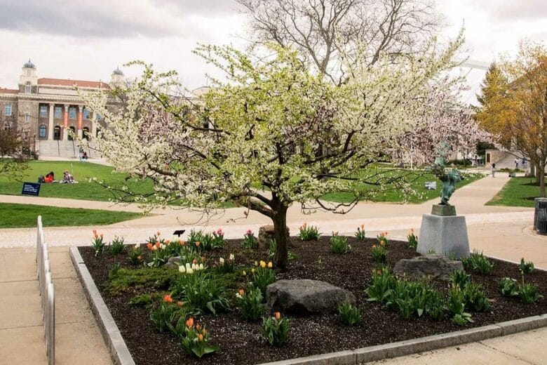 Un arbre avec plusieures variétés de fruits.