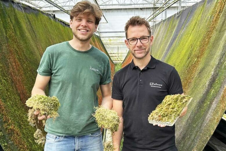 Deux hommes exposent la mousse qui pousse sur le béton.