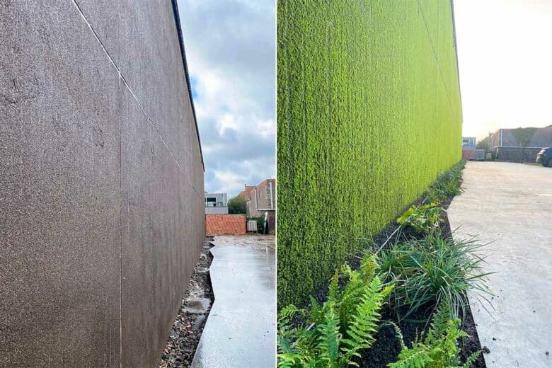 Un mur avant et après VertiScape.
