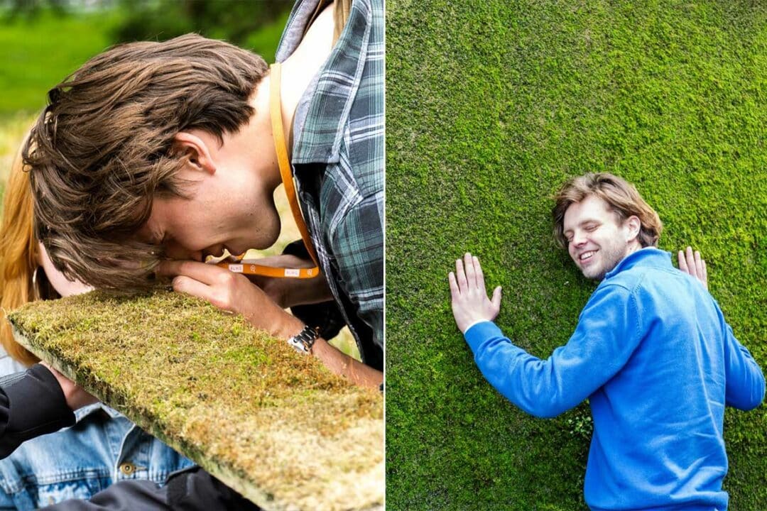 Du béton qui laisse pousser la mousse.