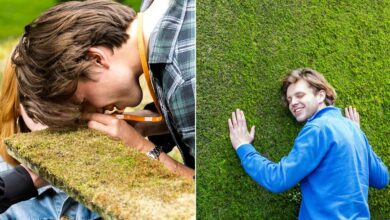 Du béton qui laisse pousser la mousse.