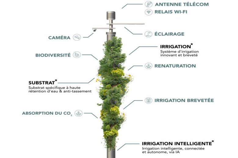 La colonne Mube en détail.