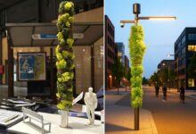 Une maquette et une modélisation de la colonne Mube.