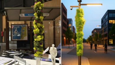 Une maquette et une modélisation de la colonne Mube.