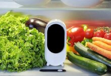 Holus le purificateur d'air pour frigo.