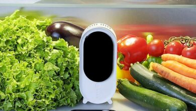 Holus le purificateur d'air pour frigo.