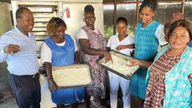 Vérification de la cuisson du riz avec le four solaire à vapeur.