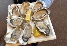 Une assiette d'huîtres.