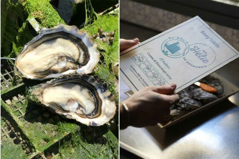 Une bourriche d'huitres et deux huitres ouvertes.