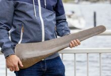 Une pale d'éolienne en lin et bois de paulownia.