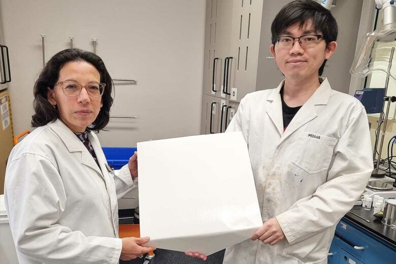 Les chercheurs et leur peinture à refroidissement passif.