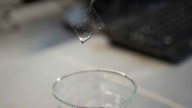 Membrane servant à la production d'hydrogène.