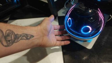 Les jouets interactifs ne sont pas adaptés à tous les ages.