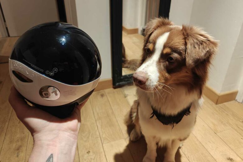 Laissez l'esprit créatif et l'imagination de votre enfant se développer avec des jouets dépourvus d'IA.