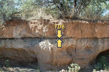 Des sédiments retrouvés sur un site d'étude.