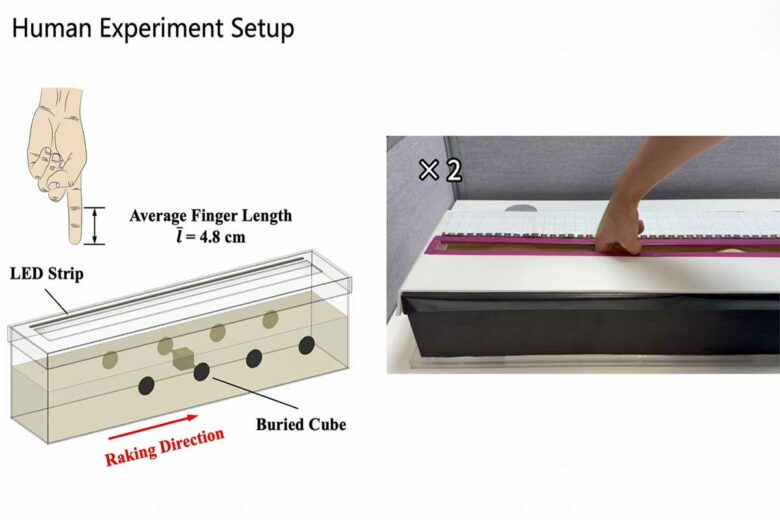 Principe et expérimentation du toucher à distance.