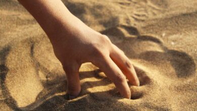 Une main dans du sable.