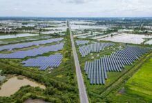 Des panneaux solaires au bord de la route.