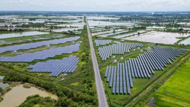 Des panneaux solaires au bord de la route.