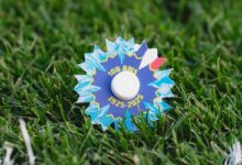 Une broche Bleuet de France dans l'herbe.