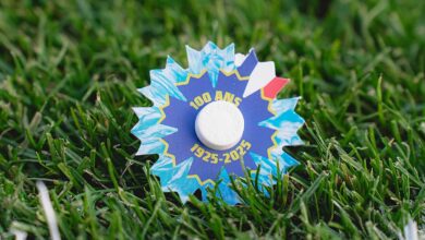 Une broche Bleuet de France dans l'herbe.