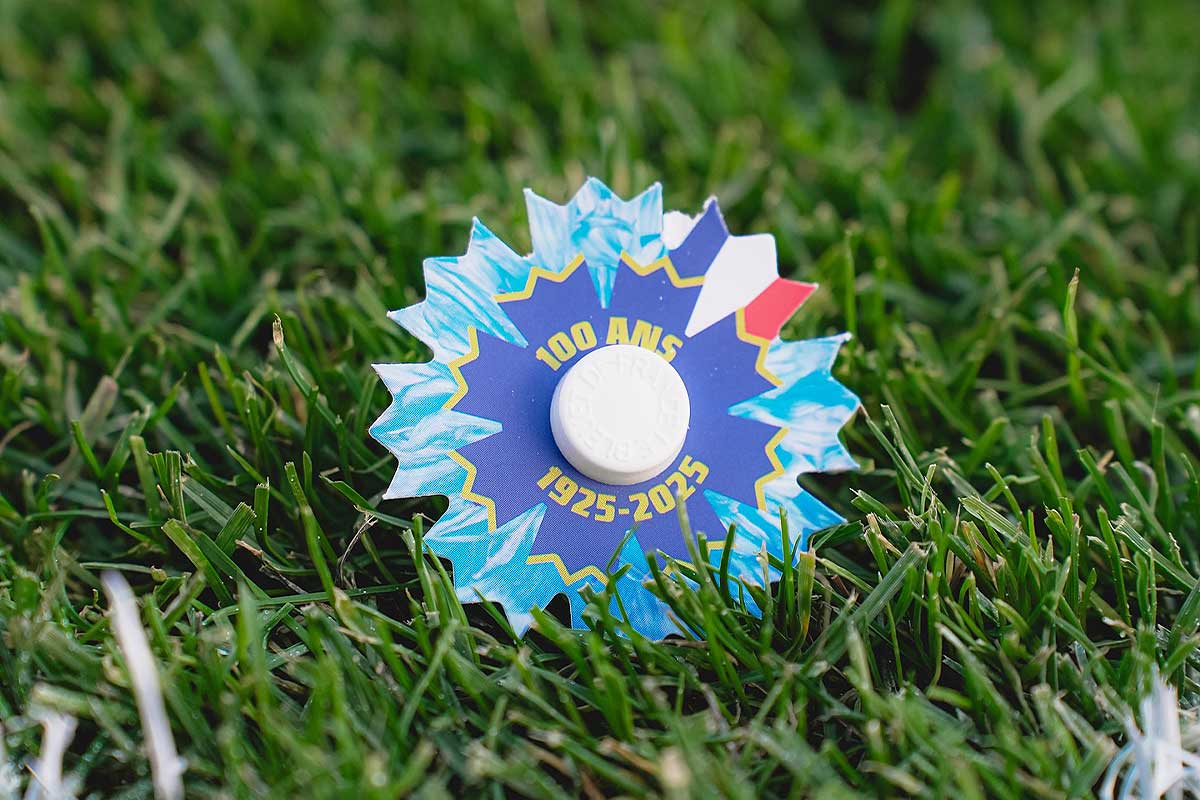 Une broche Bleuet de France dans l'herbe.