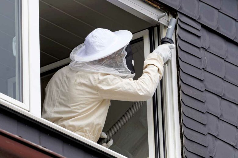 Un professionnel intervient pour un nid derrière une paroi exterieure.