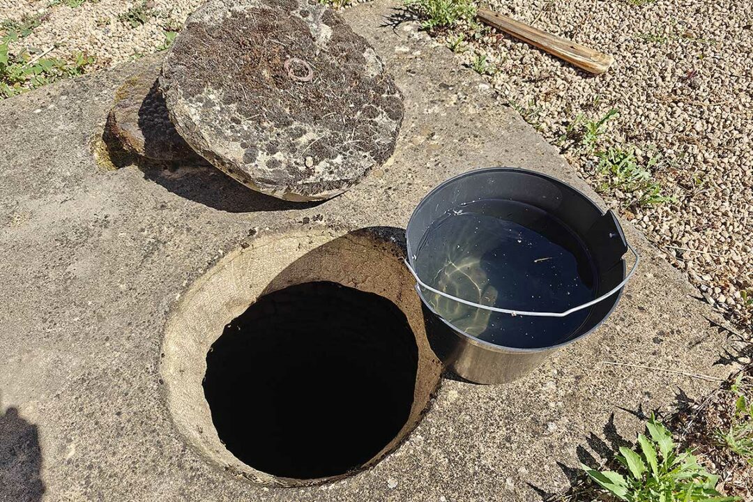 Un seau d'eau sorti du puits.