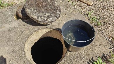 Un seau d'eau sorti du puits.