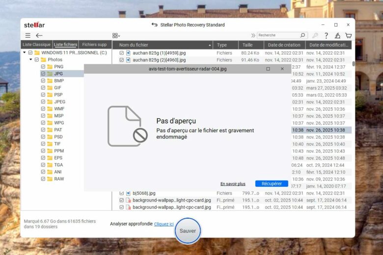 Stellar® Data Recovery Professional peut récupérer vos fichiers corrompus.