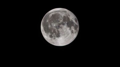 Une pleine Lune dans le ciel.