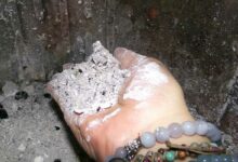 Une main tenant des cendres de bois.