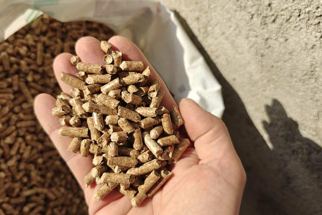 Une main tenant des pellets.