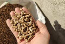 Une main tenant des pellets.