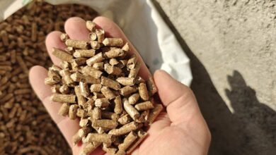 Une main tenant des pellets.