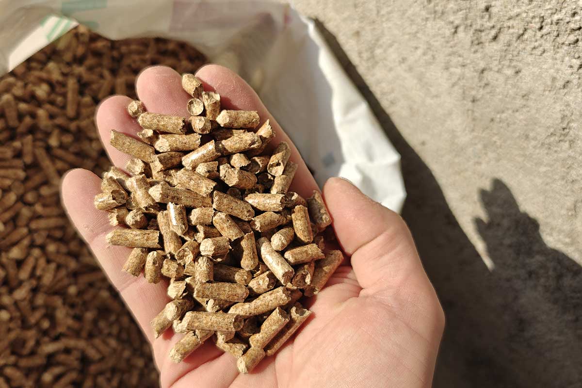 Une main tenant des pellets.